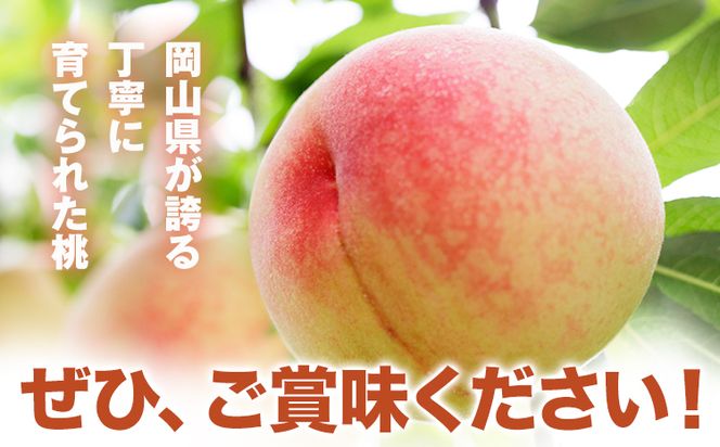 【2025年7月発送】【先行予約】もも 桃 紅清水・白鳳 どちらかお届け 2kg 6～9玉 小寺農園《2025年7月上旬-7月下旬頃出荷》 岡山県 笠岡市 岡山県産 紅清水 白鳳 モモ 果物 フルーツ 先行予約---A-30a---