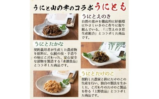 ＜鹿児島県産うに使用＞ご飯のお供「うにとも」3種セット(計4袋・各50g)国産 ウニ 雲丹 えのき たかな たけのこ おかず 惣菜 常温【尾塚水産】akn004-05