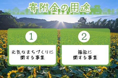 ＜寄附のみの応援受付(返礼品はございません)＞寄附額1,000円【 応援 寄附 未来 地域支援 おすすめ 1000円 国富町 宮崎県国富町 】【a0039_ku】 