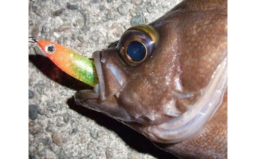 ルアー2点セット　尺八ミノー60と尺八ミノー80 [ハッサク工房 石川県 宝達志水町 38600510]