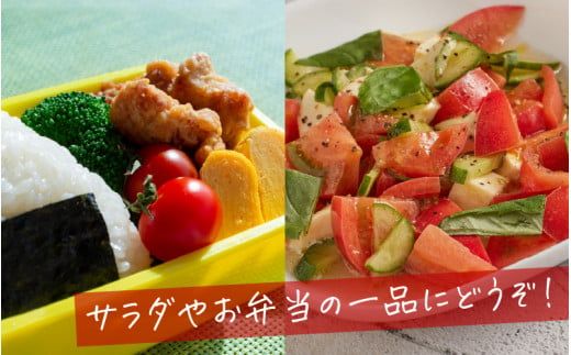 【期間限定】海洋深層水トマト【先行予約】/ ミニトマト ミディトマト 海洋 深層水 ミネラル 1.5kg 2kg 甘い 大容量 たっぷり