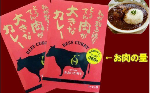 おおいた和牛の贅沢カレー 2パック_1725R