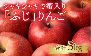 [先行予約]りんご[令和6年11月中旬以降順次発送]エコファーマー認定