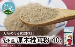 天然うま味調味料九州産原木椎茸粉40g N0155-YA0190