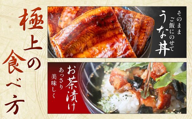 うなぎ蒲焼き(約100g)×4Pセット【魚住商店】_HA1496