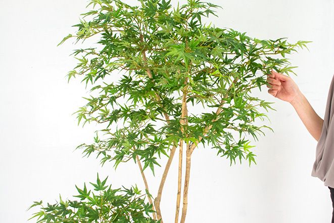 モミジ（造花）Gow-510