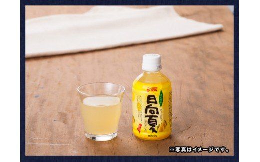 『サンA日向夏ドリンク』280ml×48本セット [F3029]