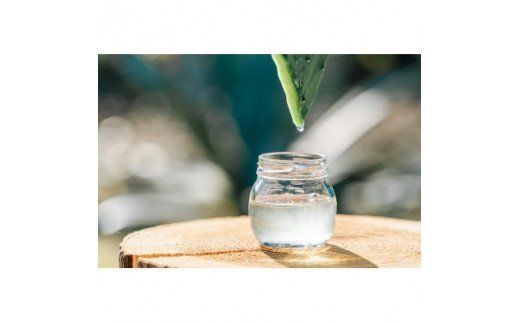 【春日井市産サボテンコスメ】ミルククレンジング洗顔