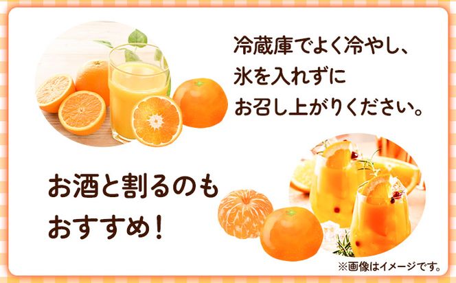 有田みかんの和 なごみ 180ml×12本入 果樹園紀の国株式会社《90日以内に出荷予定(土日祝除く)》 和歌山県 日高町 オレンジジュース みかんジュース 有田みかん100%使用 柑橘【配送不可地域あり】---wsh_kjumjwa_90d_22_13000_12p---