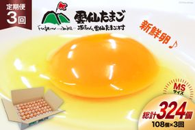 BI043 3回 定期便 たっぷり！ 雲仙たまごMSサイズ 108個(100個＋割れ補償8個入り) [ 卵 たまご 生卵 鶏卵 赤卵 玉子 新鮮 塚ちゃん雲仙たまご村 長崎県 島原市 ]