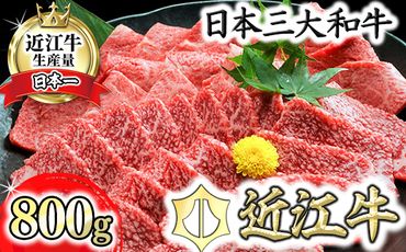 近江牛A5ランク焼肉美味セット【800g】【DG10SM】