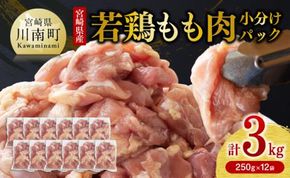 便利な小分けパック！宮崎県産 若鶏 もも肉 小分け パック 250g×12袋 計3.0kg 【鶏 肉 鶏肉 国産 モモ 九州産 鳥 小分け 使いやすい 便利】 [F0904]