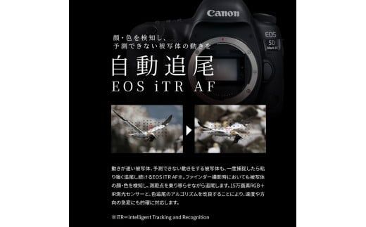 【Canon】 キヤノン 一眼レフ カメラ EOS 5D MarkIV WG ボディ キャノン 家電 _0009C