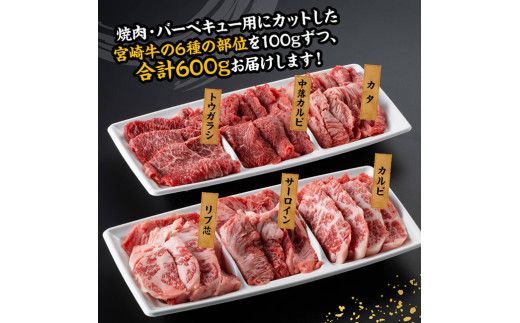 宮崎牛 焼肉 食べ比べ 6種盛 600g【 肉 牛肉 国産 宮崎県産 黒毛和牛 和牛 焼肉 バーベキュー 】[D11417]