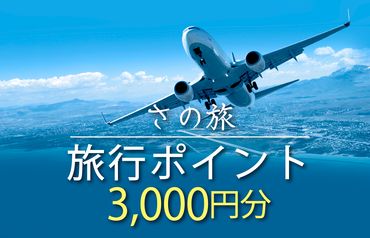 099V020 さの旅 旅行ポイント3,000円分