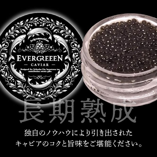 宮崎県産キャビア EVERGREEEN CAVIAR エバーグリーンキャビア