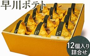 早川ポテト12個入り詰合せ ※離島への配送不可