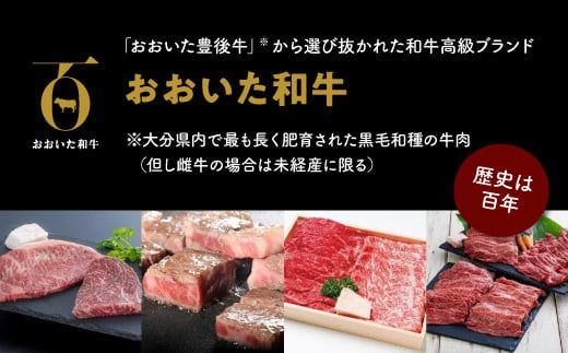 F-13 「おおいた和牛」モモ・ロースすき焼き肉（500g）＆豊後牛ハンバーグ（9個）贅沢セット