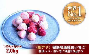 【訳アリ/食べ比べ】完熟冷凍苺「紅ほっぺ&淡雪 1.0kg×2種類」化粧箱入【果実まるごとアイス】