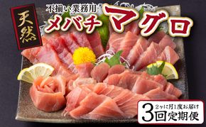 【 定期便 全３回 隔月 お届け 】天然メバチマグロ 中トロ セット５００ｇ まぐろ 鮪 刺身 お楽しみ 海鮮 冷凍 魚 海産物 魚介類 高知 訳あり 不揃い 故郷納税 送料無料 室戸定期便 tk026