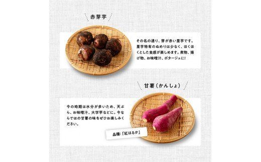 野菜 【定期便】産直おすず村 季節の野菜と果物 厳選 詰め合わせセット（小）【 旬野菜 フルーツ 直売所 産地直送 宮崎県産 】☆[G3802]