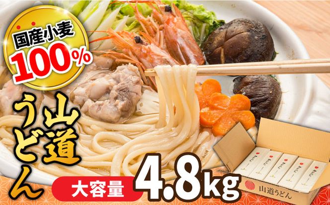 島原 手延べうどん 山道うどん 国産小麦100％ 160g×30袋 4.8kg / 麺 乾麺 うどん / 南島原市/ そうめんの山道[SDC011]