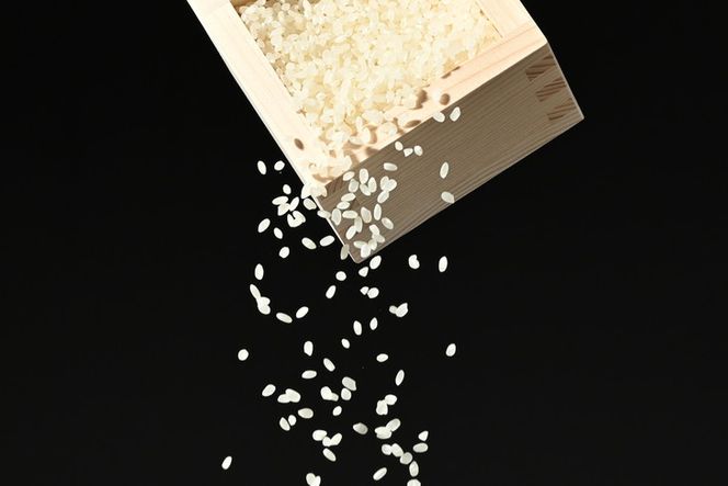 えびちゃんちの米　さくら市葛城産　5Kg  ≪令和5年産 米 お米 白米 ご飯 栃木県産 送料無料≫