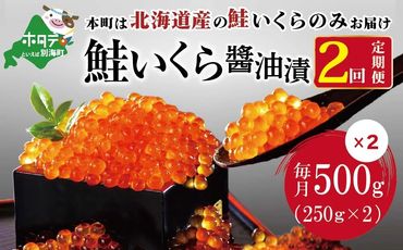 【 年2回 いくら 定期便 毎月 定期 】北海道 産 鮭 イクラ 500g ( 250g × 2パック) 2回 産直 計 1kgbe013-036b037