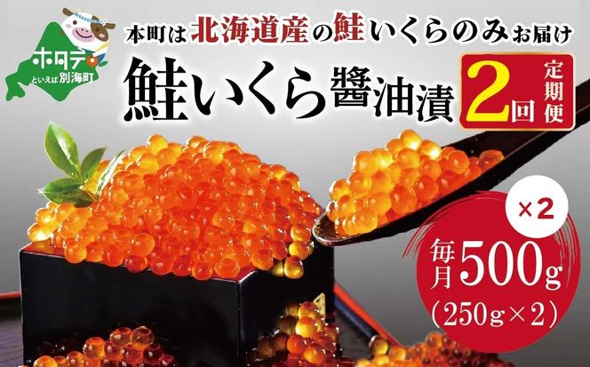 【 年2回 いくら 定期便 毎月 定期 】北海道 産 鮭 イクラ 500g ( 250g × 2パック) 2回 産直 計 1kgbe013-036b037