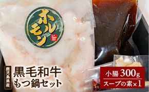 鹿児島県産黒毛和牛もつ鍋セット　K328-011