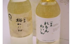 23-2182　城下町小田原の飲み比べわいんＡセット(2本セット)