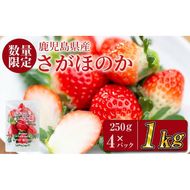 【予約受付中】鹿児島県産いちご！愛情たっぷりさがほのか 計1kg(250g×4パック) a5-067