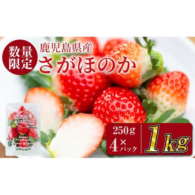 【予約受付中】鹿児島県産いちご！愛情たっぷりさがほのか 計1kg(250g×4パック) a5-067