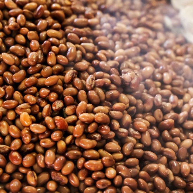 【A7-029】天然醸造醤油　生揚げ醤油とぽん酢醤油セット