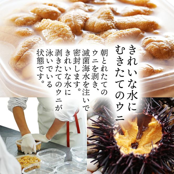 期間限定 生ウニ 300g 岩手県産 冷蔵 無添加 ミョウバン不使用 ムラサキウニ [oikawa002]	