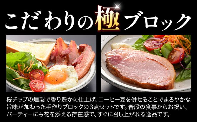 C-03 “極”３点セット ハム 手造り 燻製 ハムセット 社会福祉法人敬業会ヴィレッジ興産 ときわヴィレッジ《45日以内に出荷予定(土日祝除く)》岡山県 笠岡市 ロースハム 肩ロースハムブロック ベーコンブロック 肉 豚肉 ギフト---C-03---