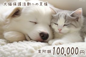 犬猫保護活動への支援 10万円 [NPO法人セブンデイズ 福岡県 筑紫野市 21761400] 保護 動物 犬 猫 犬猫 保護犬 支援 応援 イヌ ネコ いぬ ねこ ペット動物愛護 愛護 保護活動