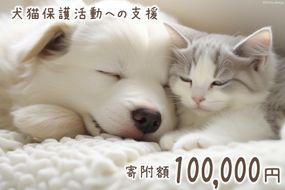 犬猫保護活動への支援  [NPO法人セブンデイズ 福岡県 筑紫野市 21760726] 保護 動物 犬 猫 犬猫 保護犬 支援 応援