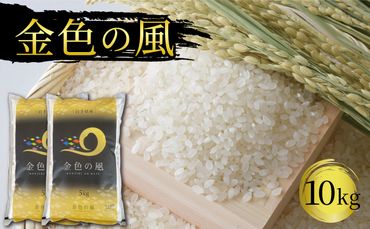 金色の風 10kg(5kg×2袋)精米 一等米 岩手県産 ご飯 白米 