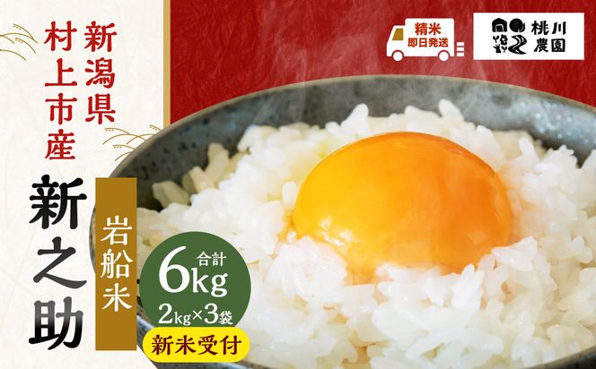 【新米受付・令和8年産米】【精米即日発送】新潟県村上市産 特別栽培米 新之助6kg（2kg×3袋）NA4100