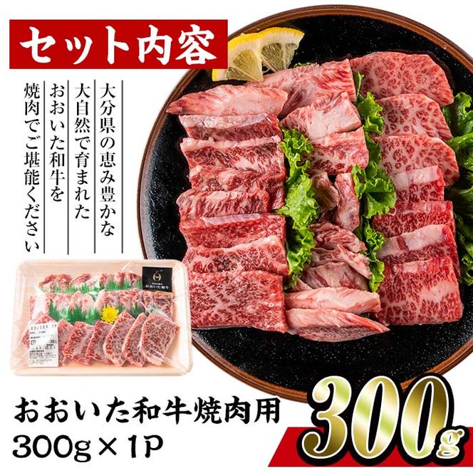 おおいた和牛 焼肉 (300g) 国産 豊後牛 BBQ バーベキュー 惣菜 やきにく おかず 百年の恵み 大分県 佐伯市【BD164】【西日本畜産 (株)】