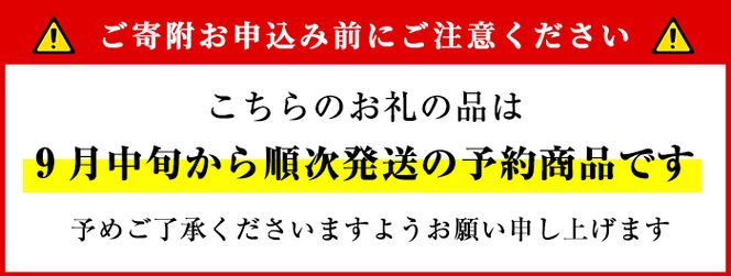 【08592】《思いやり型返礼品・先行予約受付中！2021年9月中旬から順次発送》みんなで作った煎り落花生「ルピナッツ」(計600g・200g×3袋)【ルピナス会】