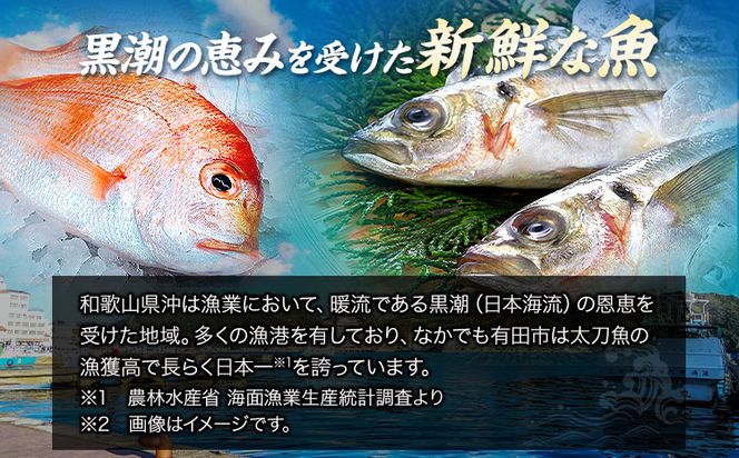 新鮮魚の梅塩干物と湯浅醤油みりん干し6品種10尾入りの詰め合わせ(和歌山近海産の新鮮魚使用) 日高町厳選館《90日以内に出荷予定(土日祝除く)》和歌山県 日高町 魚 さかな 干物 6種 10尾 さば 真あじ 太刀魚 いさぎ うおぜ さんま みりん干し 送料無料---wsh_fgenhset6_90d_22_14000---