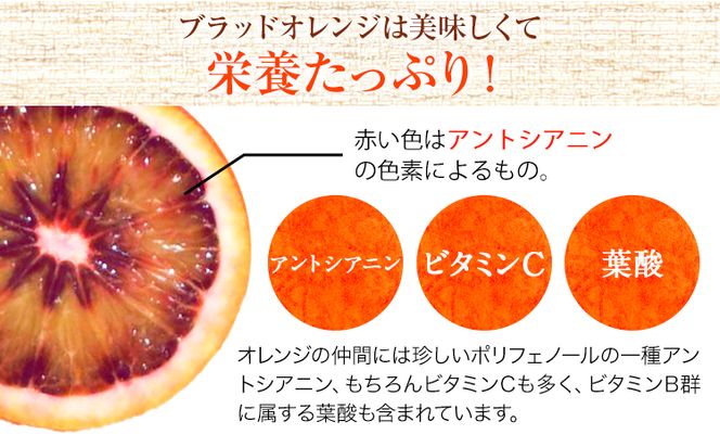 ＜先行予約＞紀州有田産ブラッドオレンジ 約3kg 【ご家庭用】 魚鶴商店《2027年3月上旬-3月下旬頃出荷》 和歌山県 日高町 紀州有田産 オレンジ みかん ご家庭用---wsh_huo7_a4_23_17000_3kg---