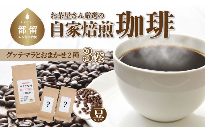 yRsszFI004@񌵑I̎R[q[3܁iOAe} 1/C2/j