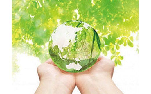 Ecoshibo（エコシボ）50本入 ※離島不可≪おしぼり 使い捨ておしぼり おしゃれ かわいい 使い捨て 国産 高級 日本製 不織布≫◇