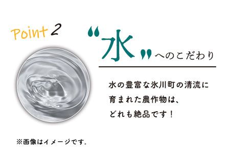  令和8年産 鋤先家 の ひのひかり 6kg (2kg×３袋) 熊本県氷川町産 鋤先梨農園《30日以内に順次出荷(土日祝除く)》---hkw_26_snn_3_6kg---