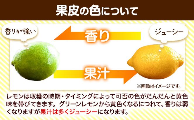 国産 レモン 約 3kg (L～4Lサイズ) ノーワックス 減農薬  どの坂果樹園《2024年2月上旬-6月末頃出荷》 和歌山県 日高川町 レモン れもん 檸檬 果物 フルーツ 旬 柑橘 フルーツ 果物 送料無料---wshg_cdsk16_2j6m_24_10000_3kg---