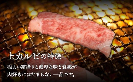 【A4/A5ランク黒毛和牛】びらとり和牛上カルビ焼700ｇ ふるさと納税 人気 おすすめ ランキング びらとり和牛 黒毛和牛 和牛 肉 焼肉 北海道 平取町 送料無料 BRTB019