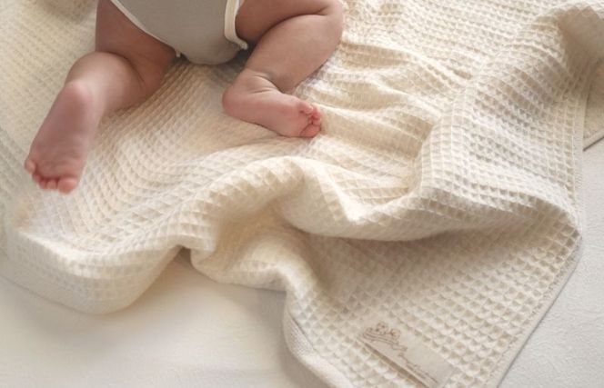 G2025 【フルオーガニックコットン】ふんわりワッフルタオルプレミアム12枚セット